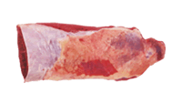 paletero cortes de carne de res colombian cattle sas
